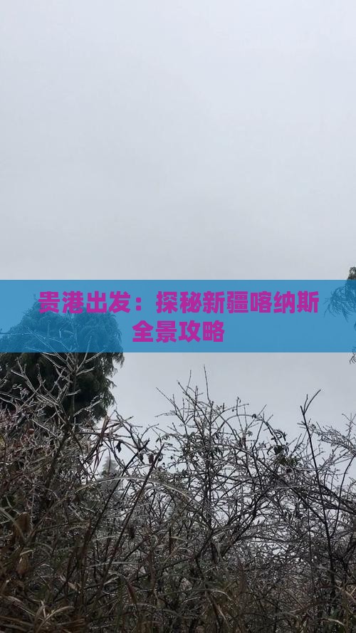贵港出发：探秘新疆喀纳斯全景攻略