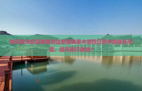 如何解决抚顺游客前往新疆赛里木湖四日游中的痛点问题，提升旅行体验？