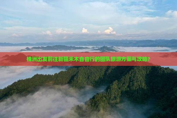 株洲出发前往新疆禾木自由行的团队旅游方案与攻略？