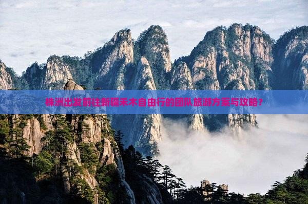 株洲出发前往新疆禾木自由行的团队旅游方案与攻略？