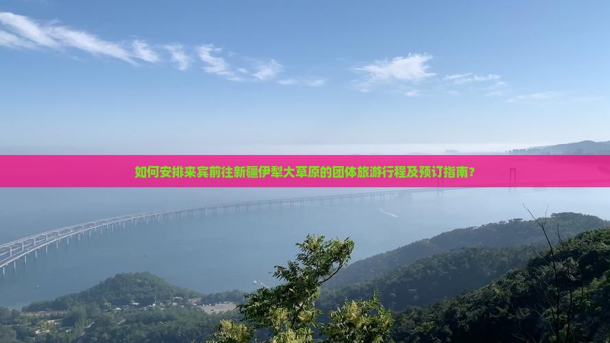 如何安排来宾前往新疆伊犁大草原的团体旅游行程及预订指南？