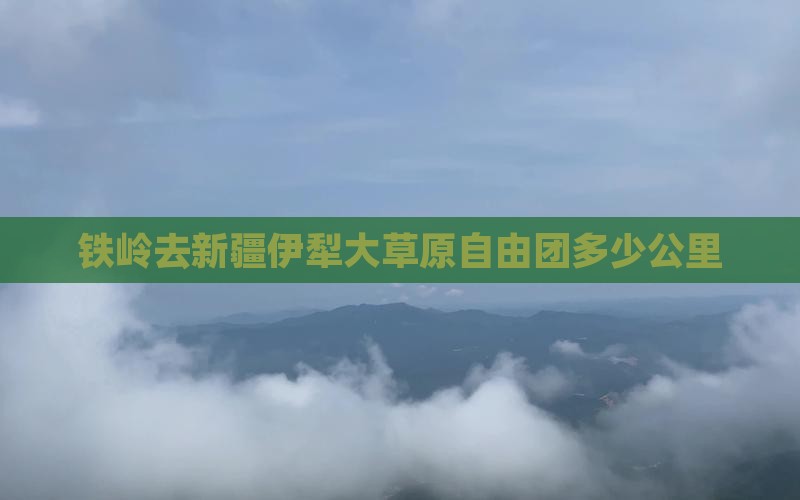 铁岭去新疆伊犁大草原自由团多少公里