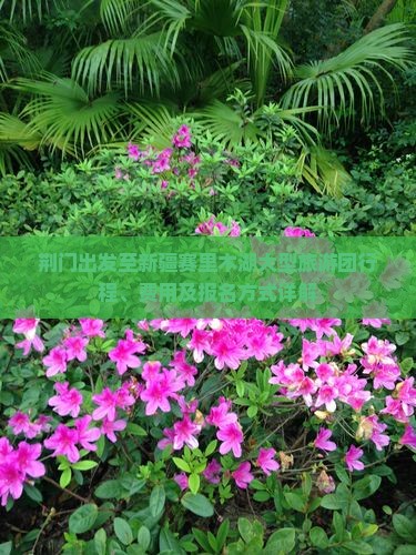 荆门出发至新疆赛里木湖大型旅游团行程、费用及报名方式详解