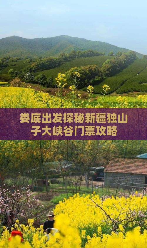 娄底出发探秘新疆独山子大峡谷门票攻略