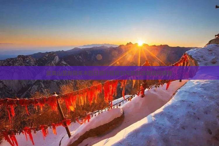 武夷山至新疆禾木四日游行程规划与旅游攻略疑问解答