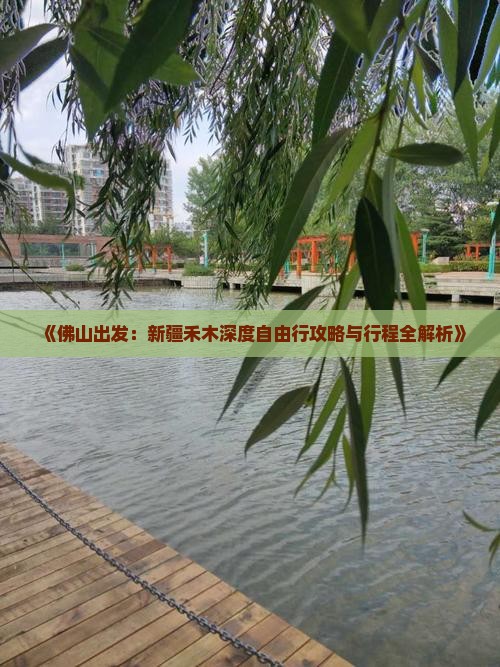 《佛山出发：新疆禾木深度自由行攻略与行程全解析》