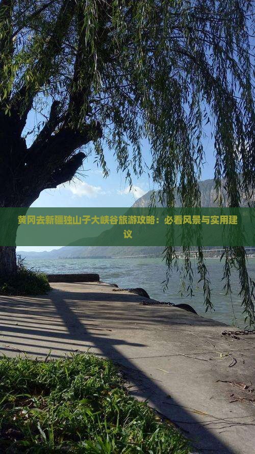 黄冈去新疆独山子大峡谷旅游攻略：必看风景与实用建议