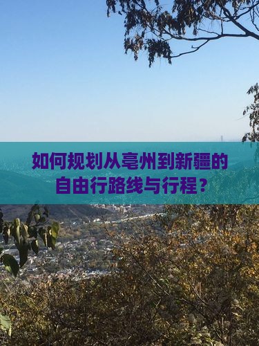 如何规划从亳州到新疆的自由行路线与行程？