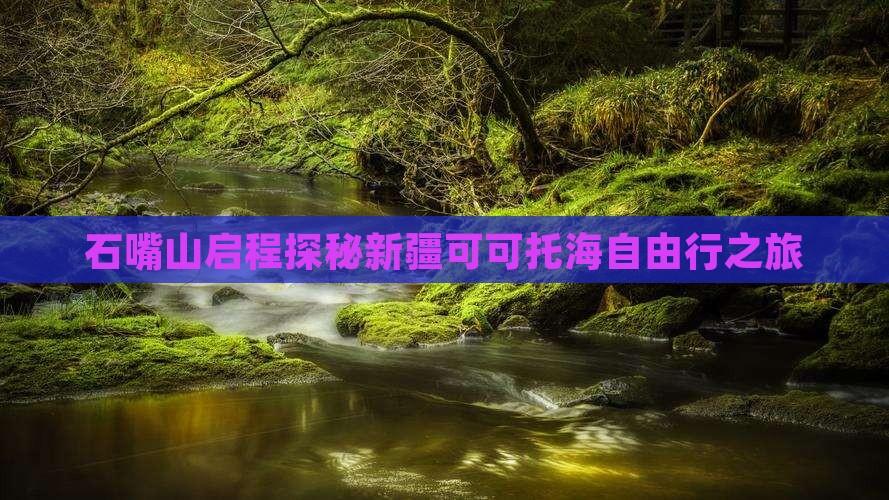 石嘴山启程探秘新疆可可托海自由行之旅