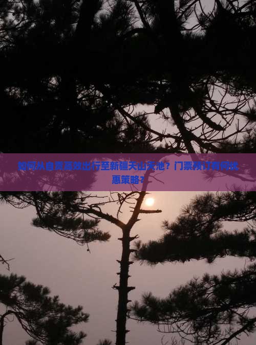 如何从自贡高效出行至新疆天山天池？门票预订有何优惠策略？