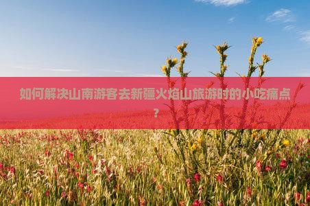 如何解决山南游客去新疆火焰山旅游时的小吃痛点？
