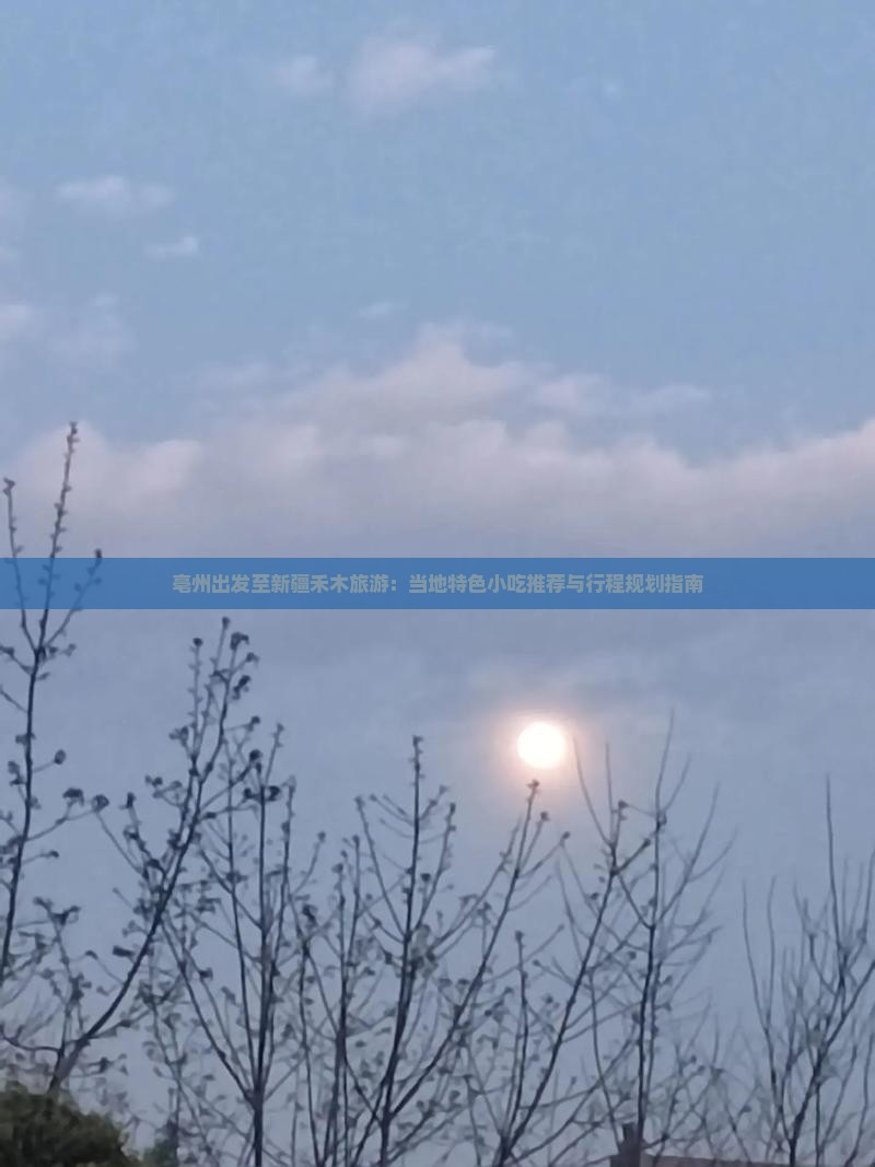 亳州出发至新疆禾木旅游：当地特色小吃推荐与行程规划指南