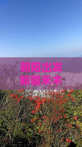 朝阳出发新疆禾木六日游 朝阳出发新疆禾木六日游