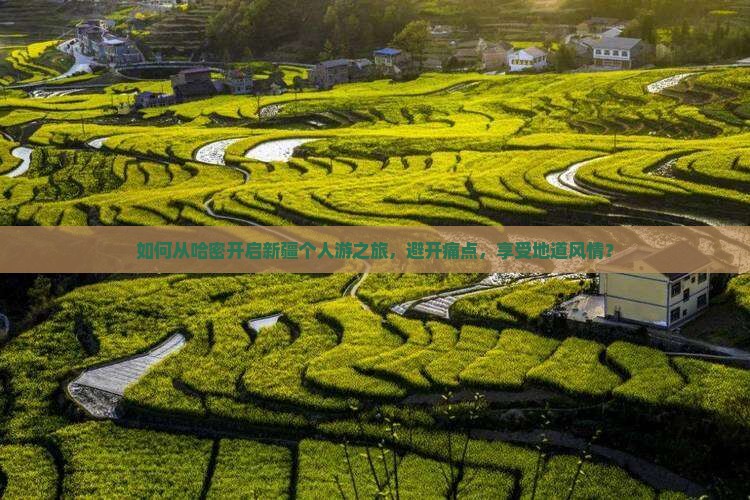 如何从哈密开启新疆个人游之旅，避开痛点，享受地道风情？