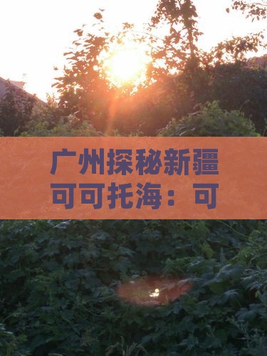广州探秘新疆可可托海：可可之旅必去胜地