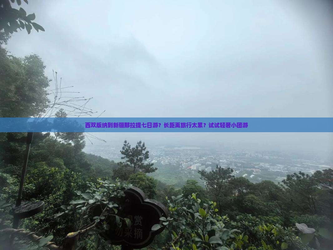 西双版纳到新疆那拉提七日游？长距离旅行太累？试试轻奢小团游