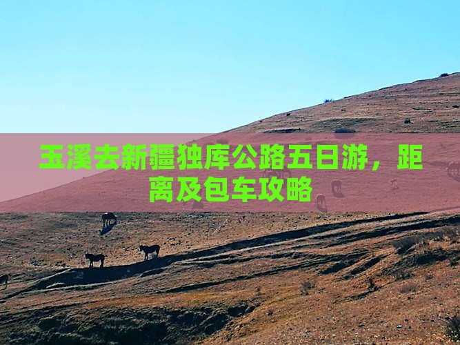 玉溪去新疆独库公路五日游，距离及包车攻略
