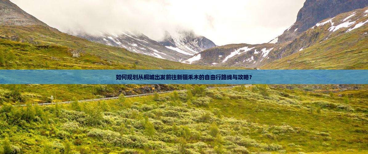 如何规划从桐城出发前往新疆禾木的自由行路线与攻略？