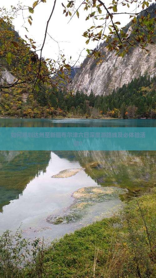 如何规划达州至新疆布尔津六日深度游路线及必体验活动？