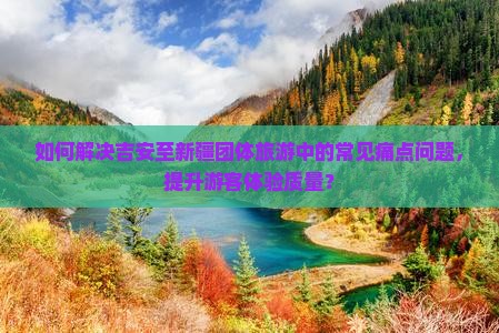 如何解决吉安至新疆团体旅游中的常见痛点问题，提升游客体验质量？