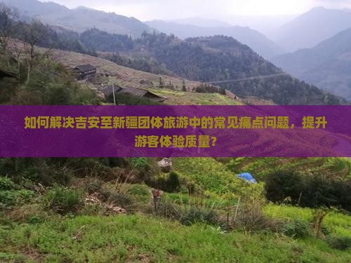 如何解决吉安至新疆团体旅游中的常见痛点问题，提升游客体验质量？
