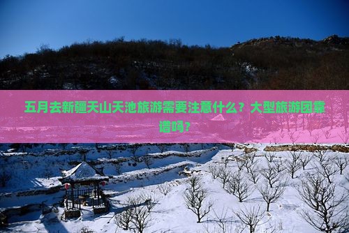 五月去新疆天山天池旅游需要注意什么？大型旅游团靠谱吗？