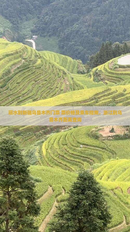 丽水到新疆乌鲁木齐门票+票价格及乘车指南，浙江到乌鲁木齐距离查询