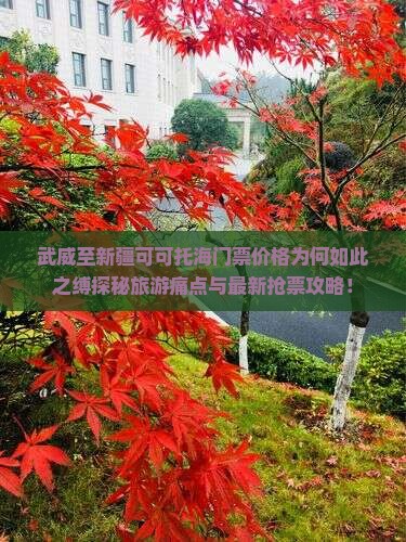 武威至新疆可可托海门票价格为何如此之缚探秘旅游痛点与最新抢票攻略！