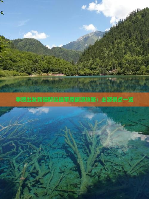 孝感出发新疆那拉提草原旅游攻略：必游景点一览
