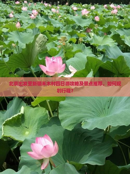 北京出发至新疆禾木村四日游攻略及景点推荐，如何规划行程？