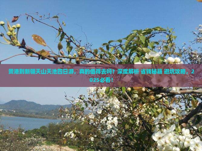 贵港到新疆天山天池四日游