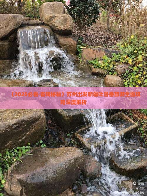 苏州去新疆吐鲁番门票