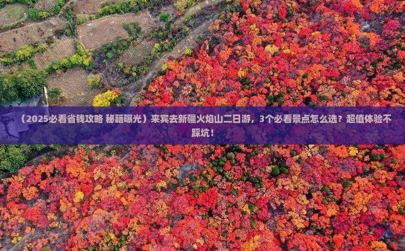 来宾去新疆火焰山二日游