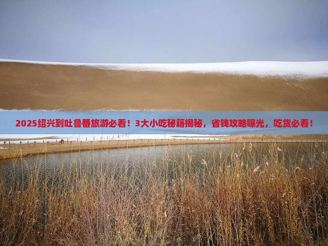 绍兴到新疆吐鲁番旅游小吃