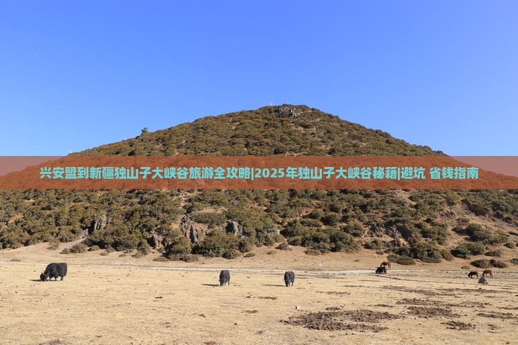 兴安盟去新疆独山子大峡谷个人游