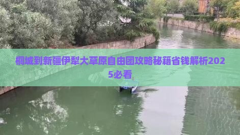 桐城到新疆伊犁大草原自由团