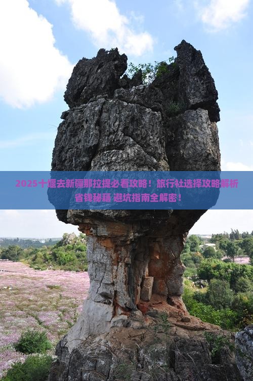 十堰去新疆那拉提旅行社