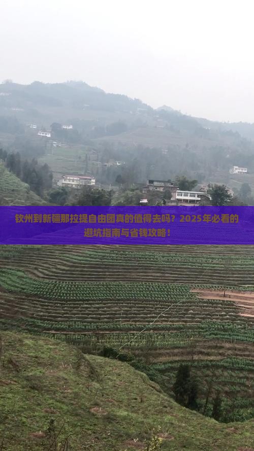 钦州到新疆那拉提自由团