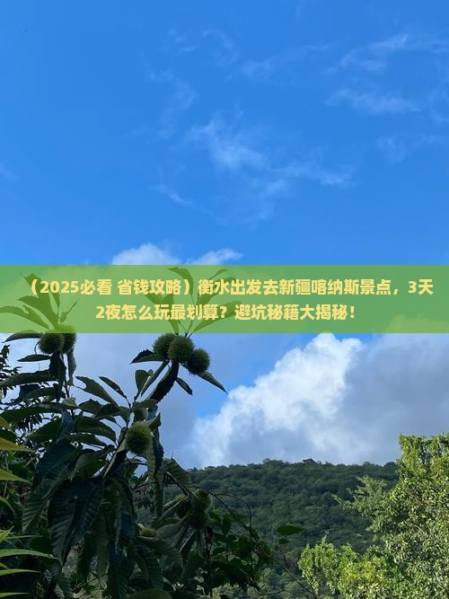 衡水去新疆喀纳斯景点