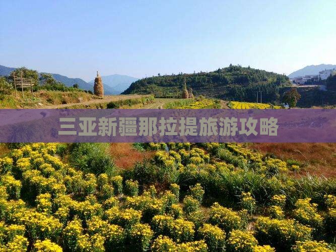 三亚去新疆那拉提攻略