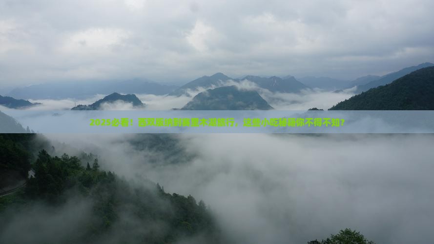 西双版纳到新疆赛里木湖旅游小吃
