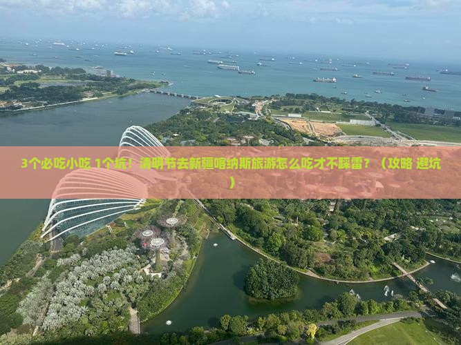 清明节去新疆喀纳斯旅游小吃