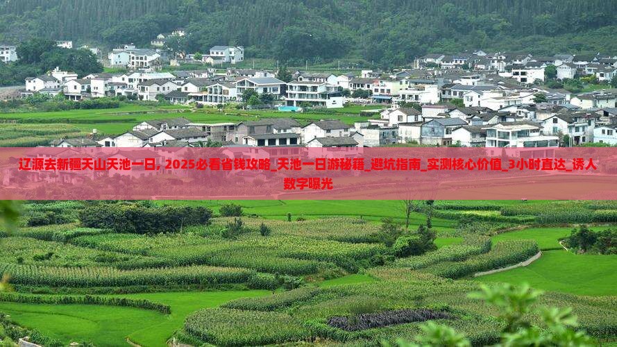 辽源去新疆天山天池一日