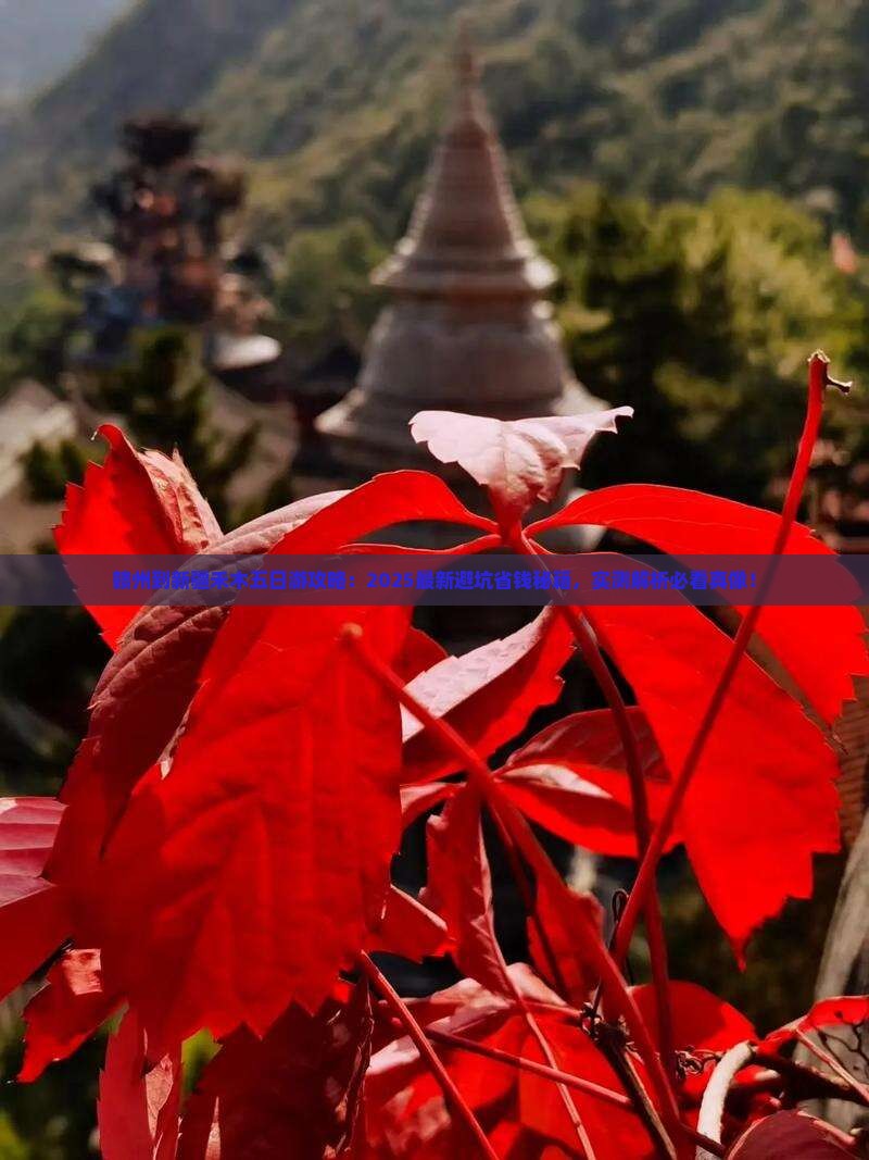 赣州到新疆禾木五日游