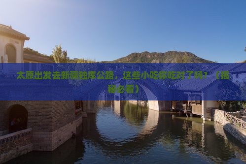 太原到新疆独库公路旅游小吃