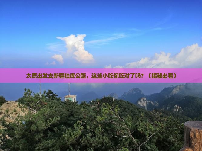 太原到新疆独库公路旅游小吃