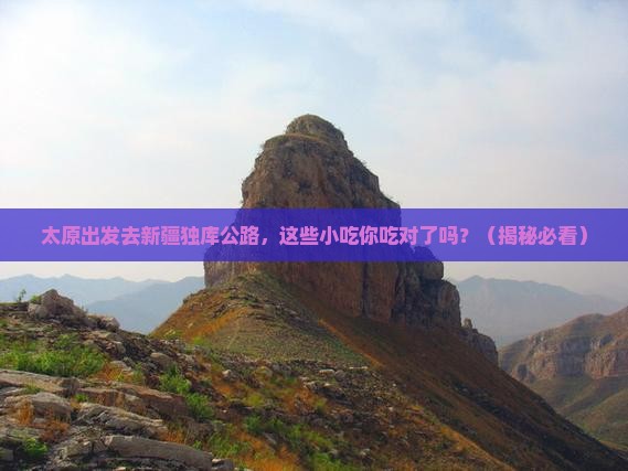 太原到新疆独库公路旅游小吃