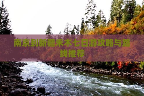 南京到新疆禾木七日游