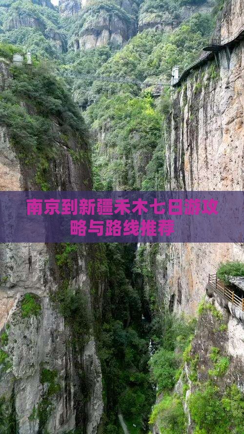 南京到新疆禾木七日游