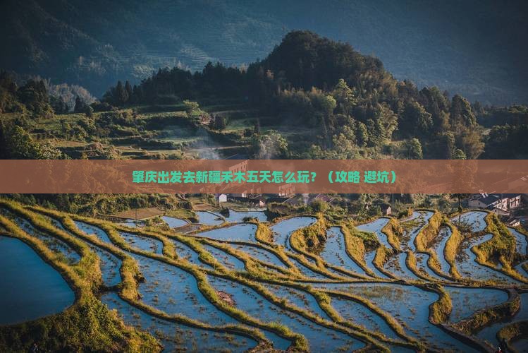 肇庆到新疆禾木五日游